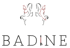 logo badine